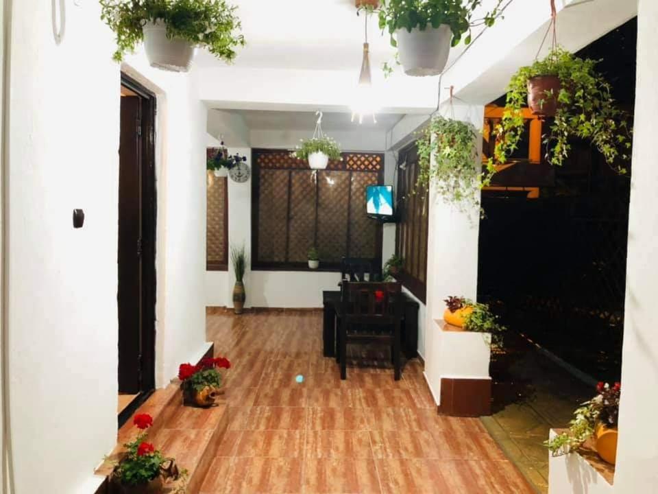 Ferienwohnung Vila Tami Costinești Exterior foto